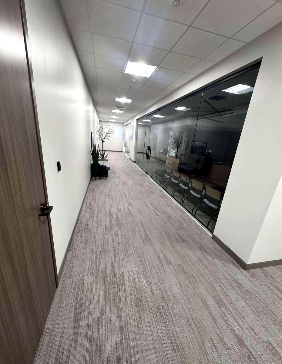 A freshly vacuumed hallway beside clean glass conference room walls